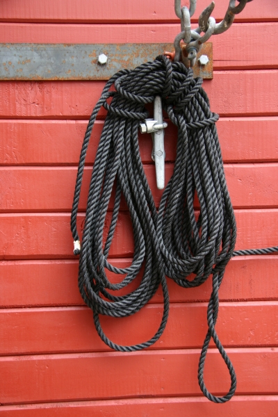 Click here to view Just Hanging Around by  Tom Borgal Photography