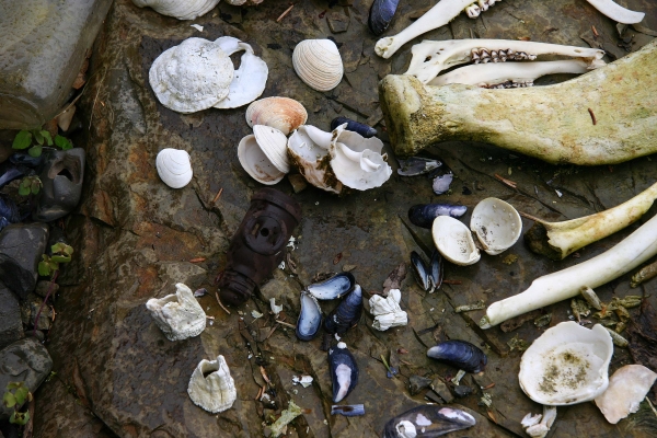 Debris by Tom Borgal Photography