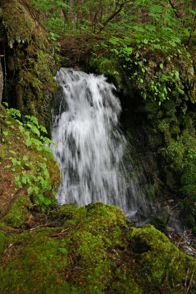 Click here to view Waterfall by  Tom Borgal Photography