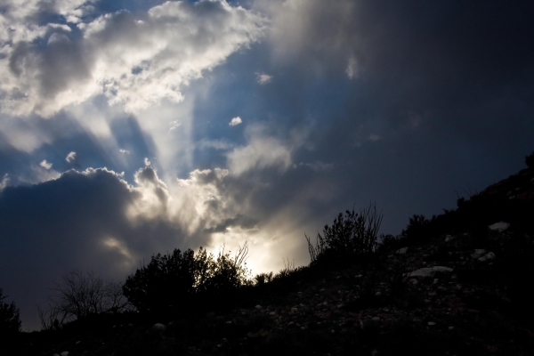 Click here to view Sun Rays by  Tom Borgal Photography