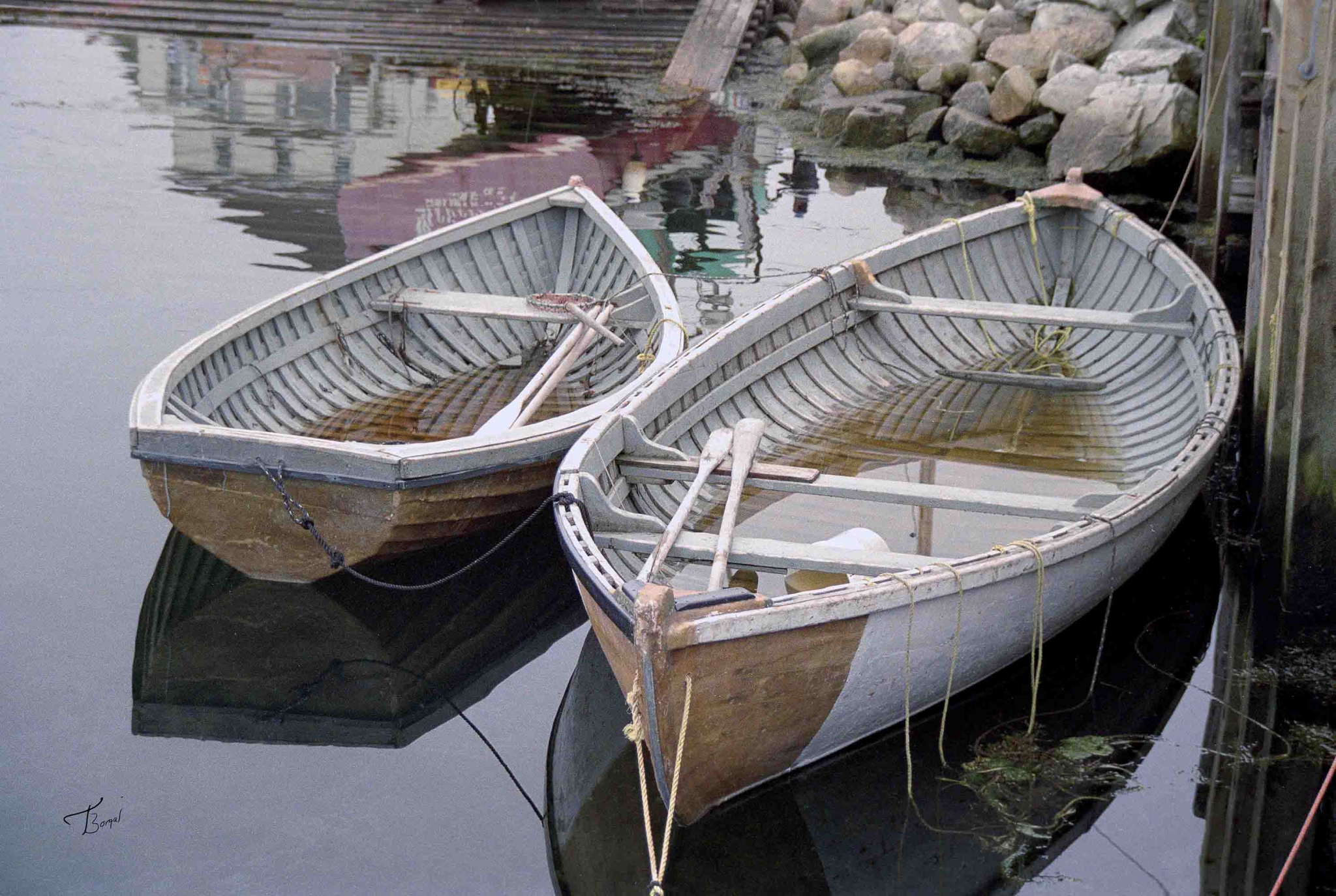Click here to view Waiting to be Bailed by  Tom Borgal Photography