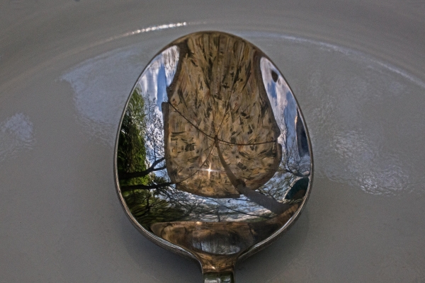 Click here to view Umbrella in a Spoon by  Tom Borgal Photography