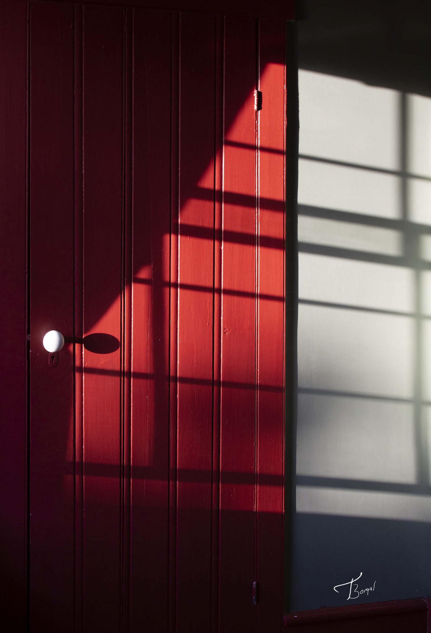 Click here to view Shadows on Red Door by  Tom Borgal Photography