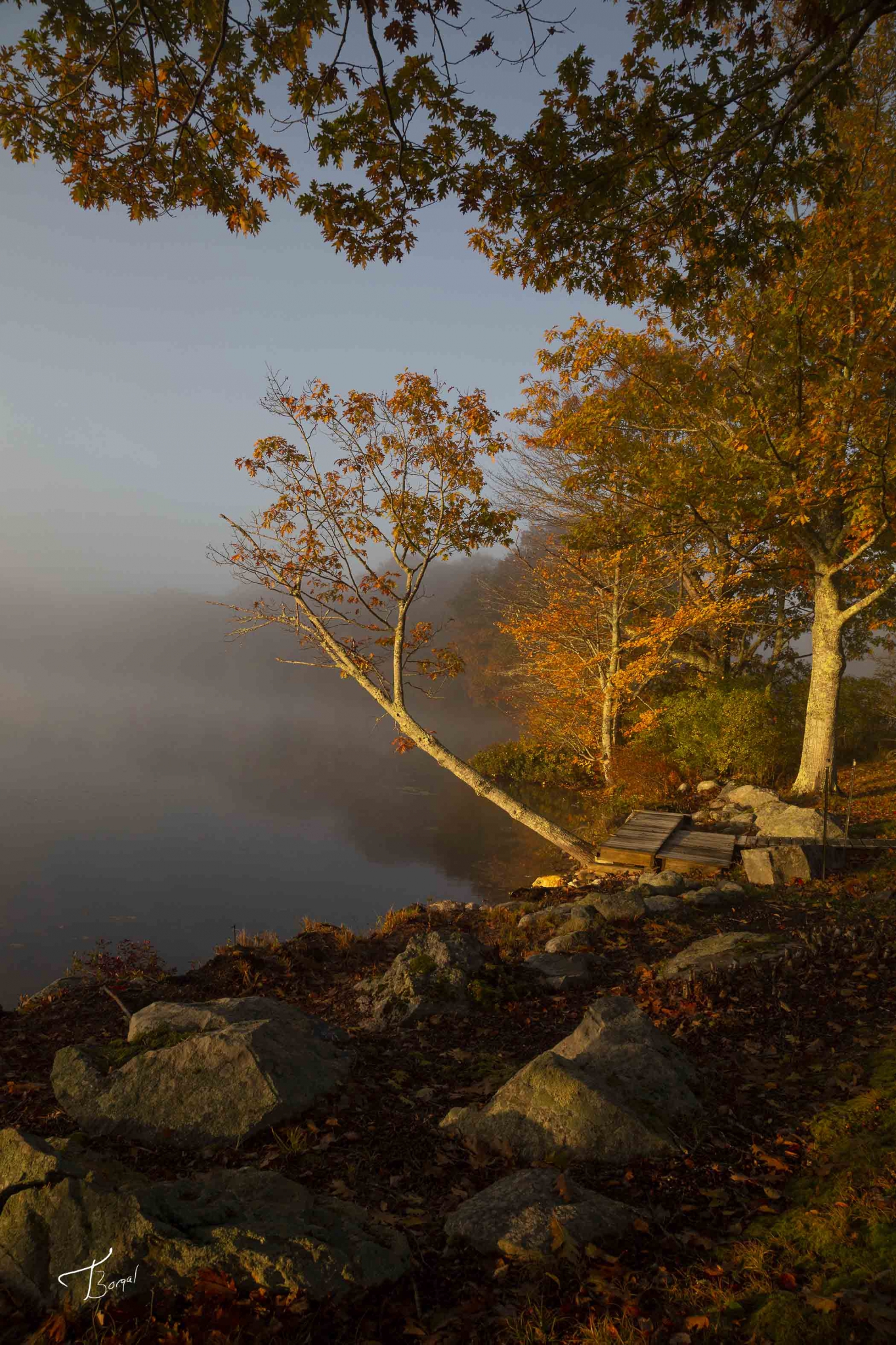 Click here to view Autumn Sunrise by  Tom Borgal Photography