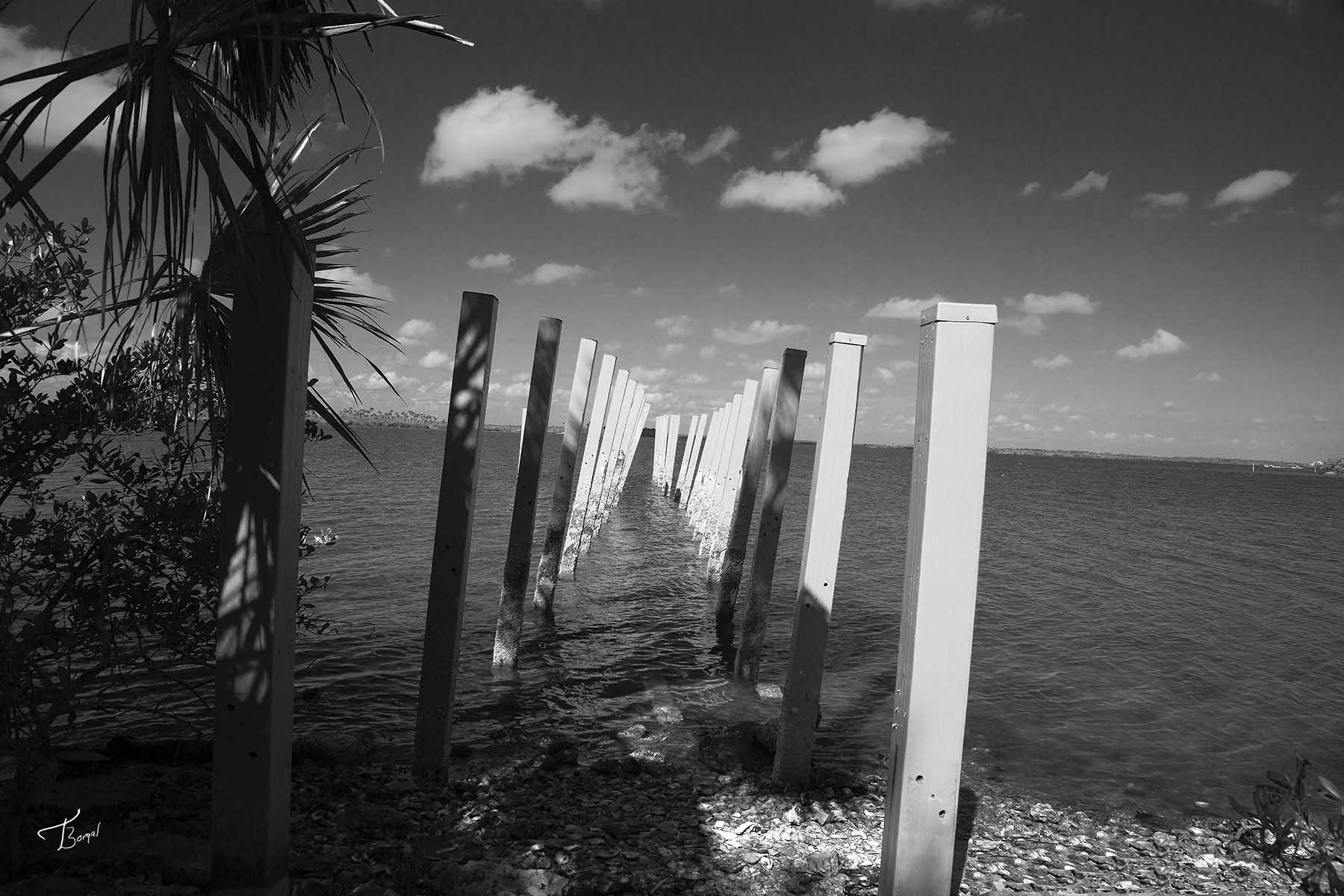 Click here to view Abandoned by  Tom Borgal Photography